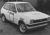 Popular Motoring Fiesta Championship 1981 Michael Hipperson